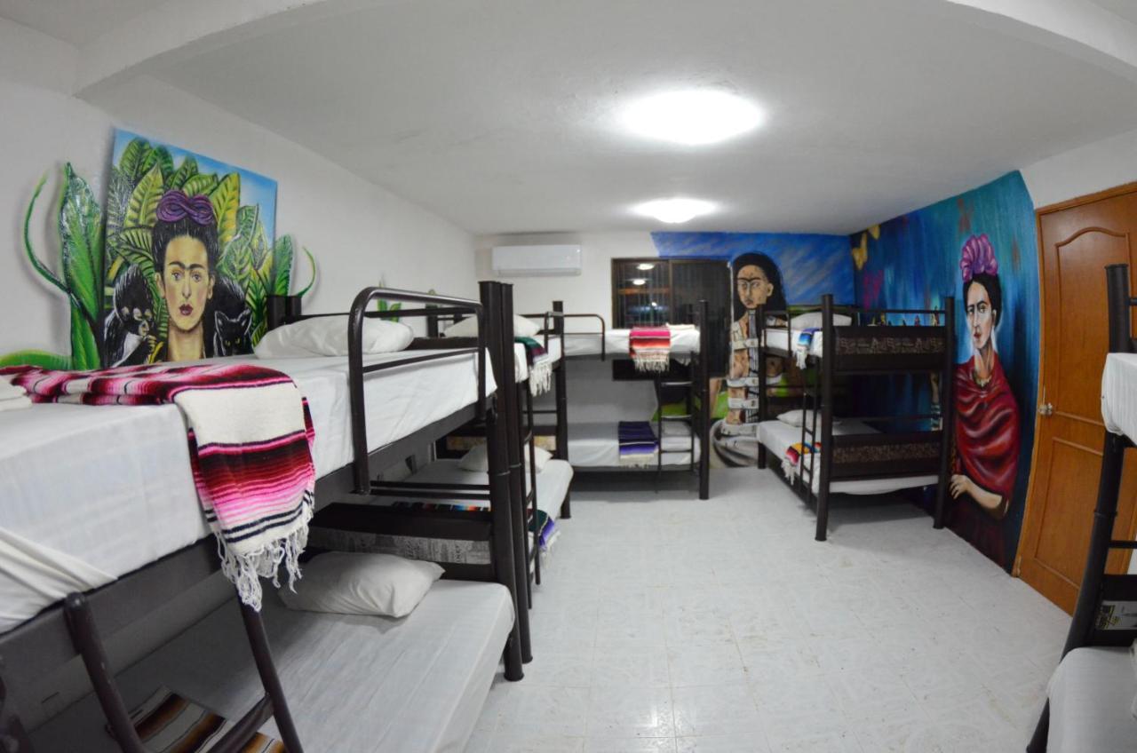 Fiesta Party Hostel - 坎昆 外观 照片