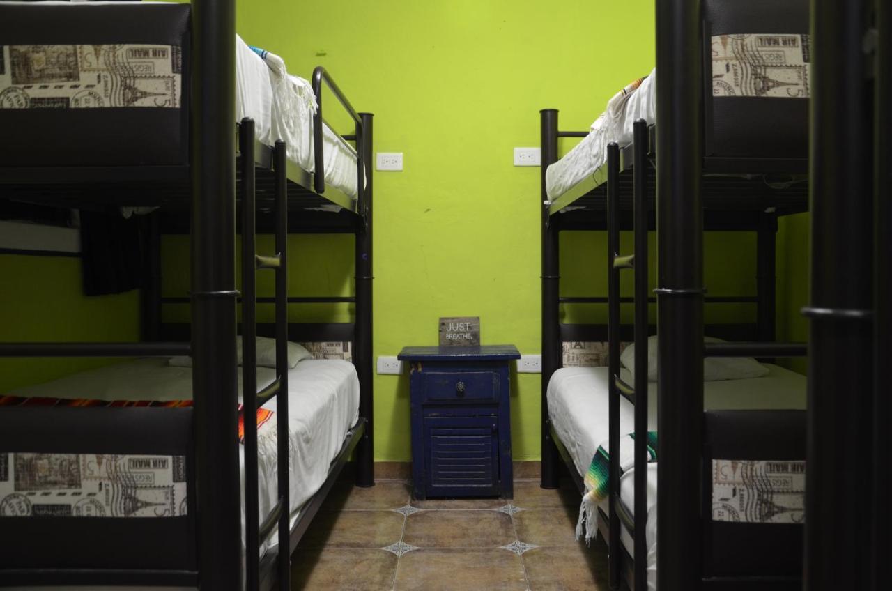 Fiesta Party Hostel - 坎昆 外观 照片